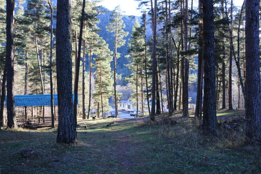 ущелье реки гондарай. бурвиль архыз. термальныеиточники архыз. архыз гостиница благодать. гостевой дом благодать архыз.